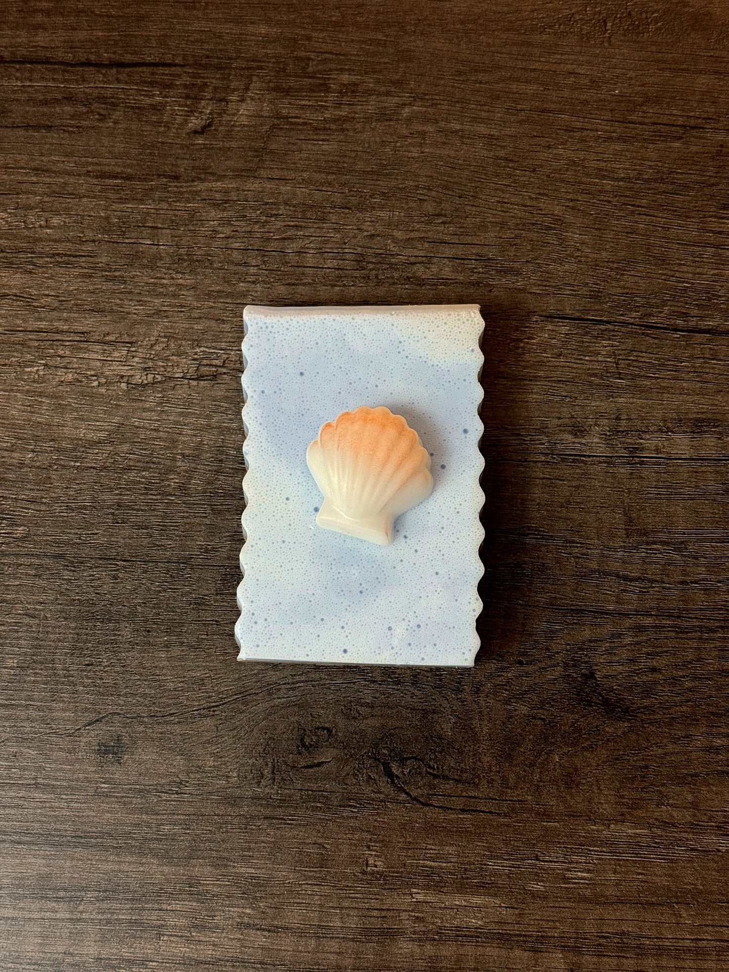 Beach Day | Summer Collection Bundle