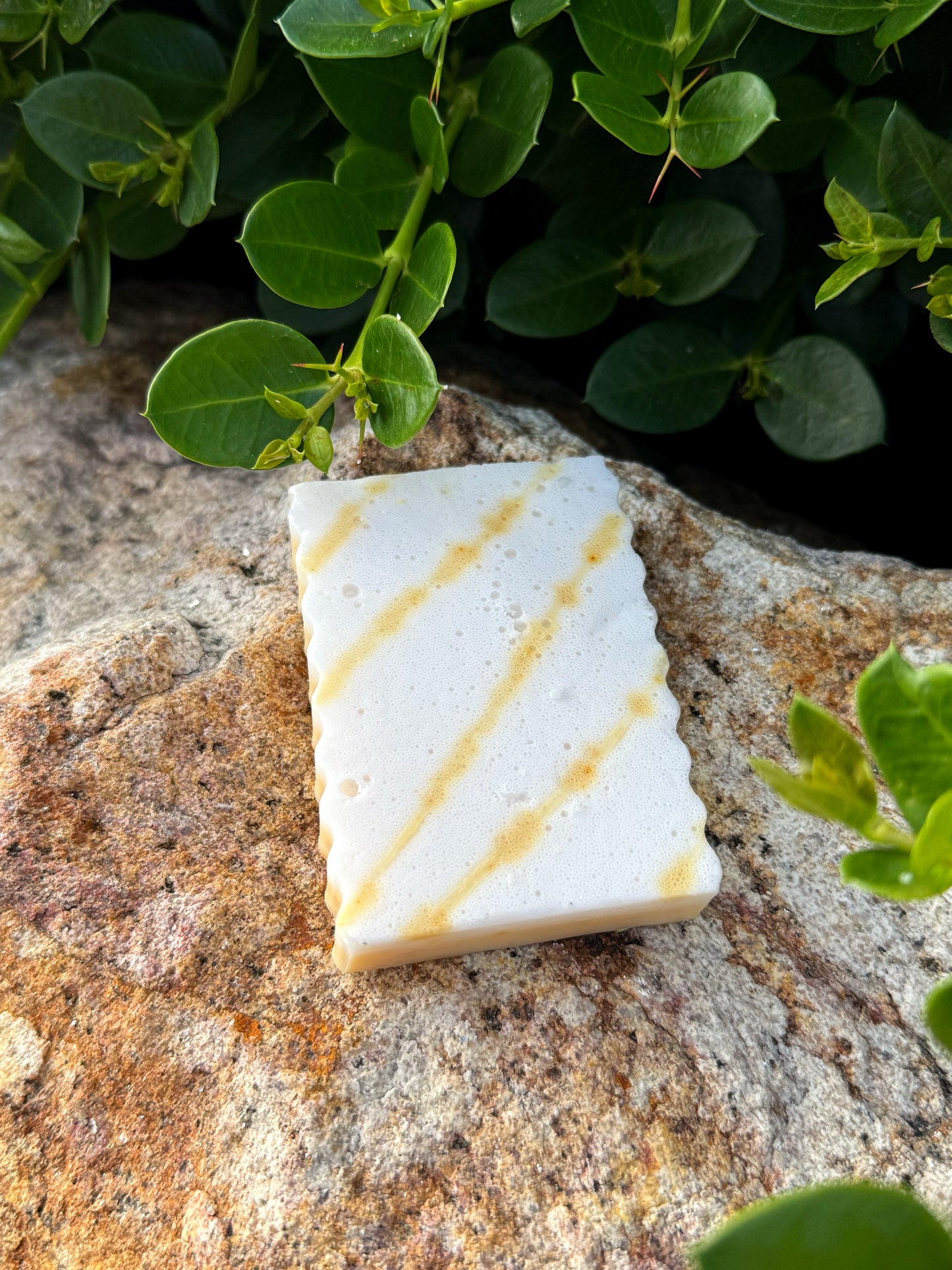 Orange you Glad? | Goat Milk Soap