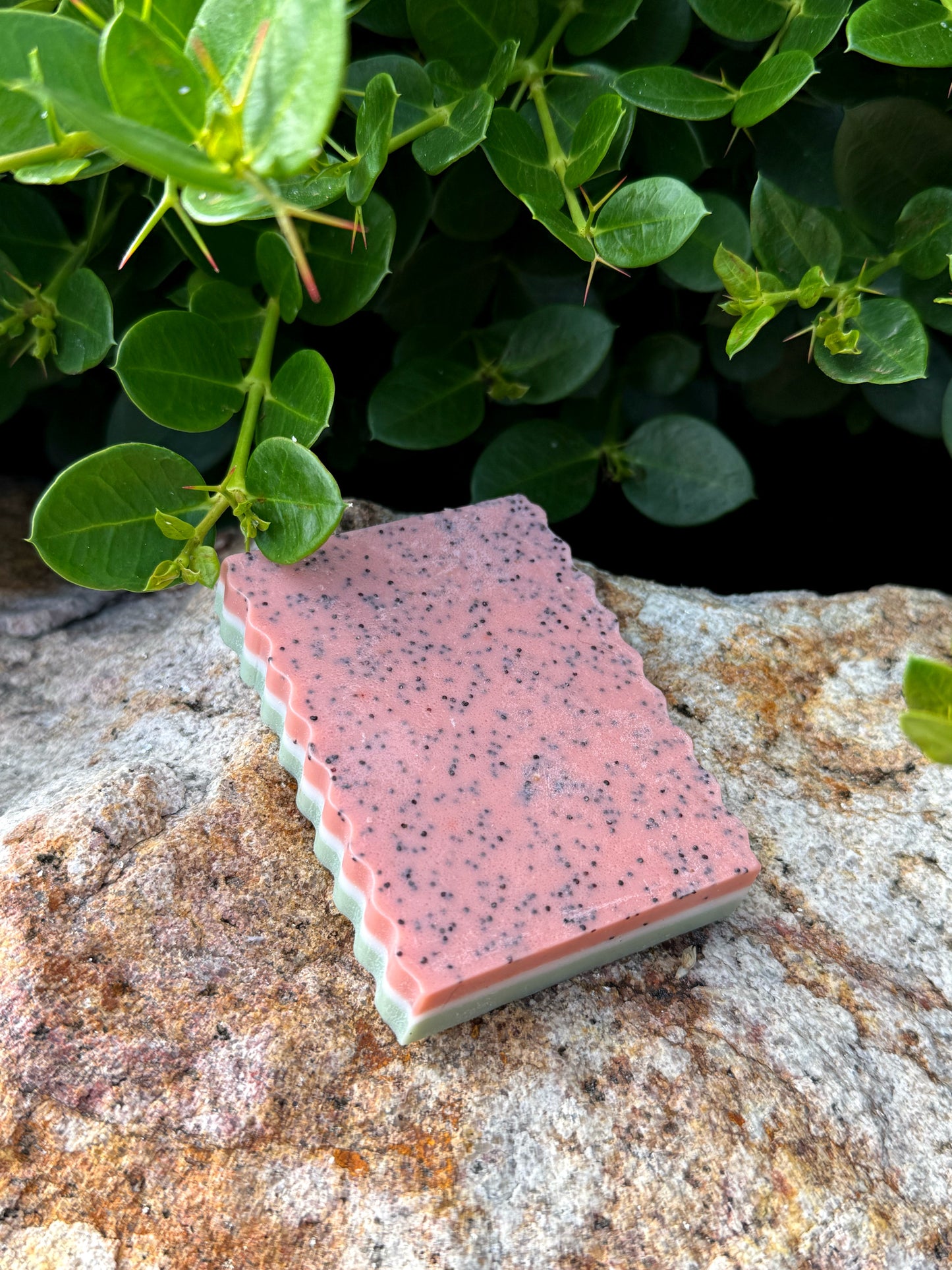Watermelon Mint | Goat Milk Soap