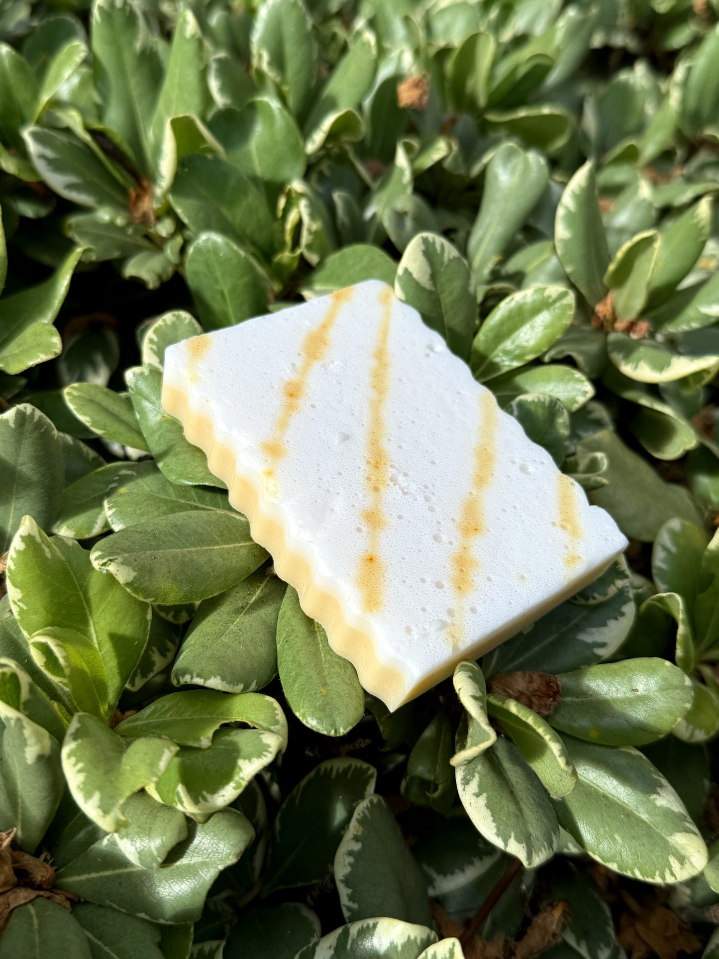 Orange you Glad? | Goat Milk Soap