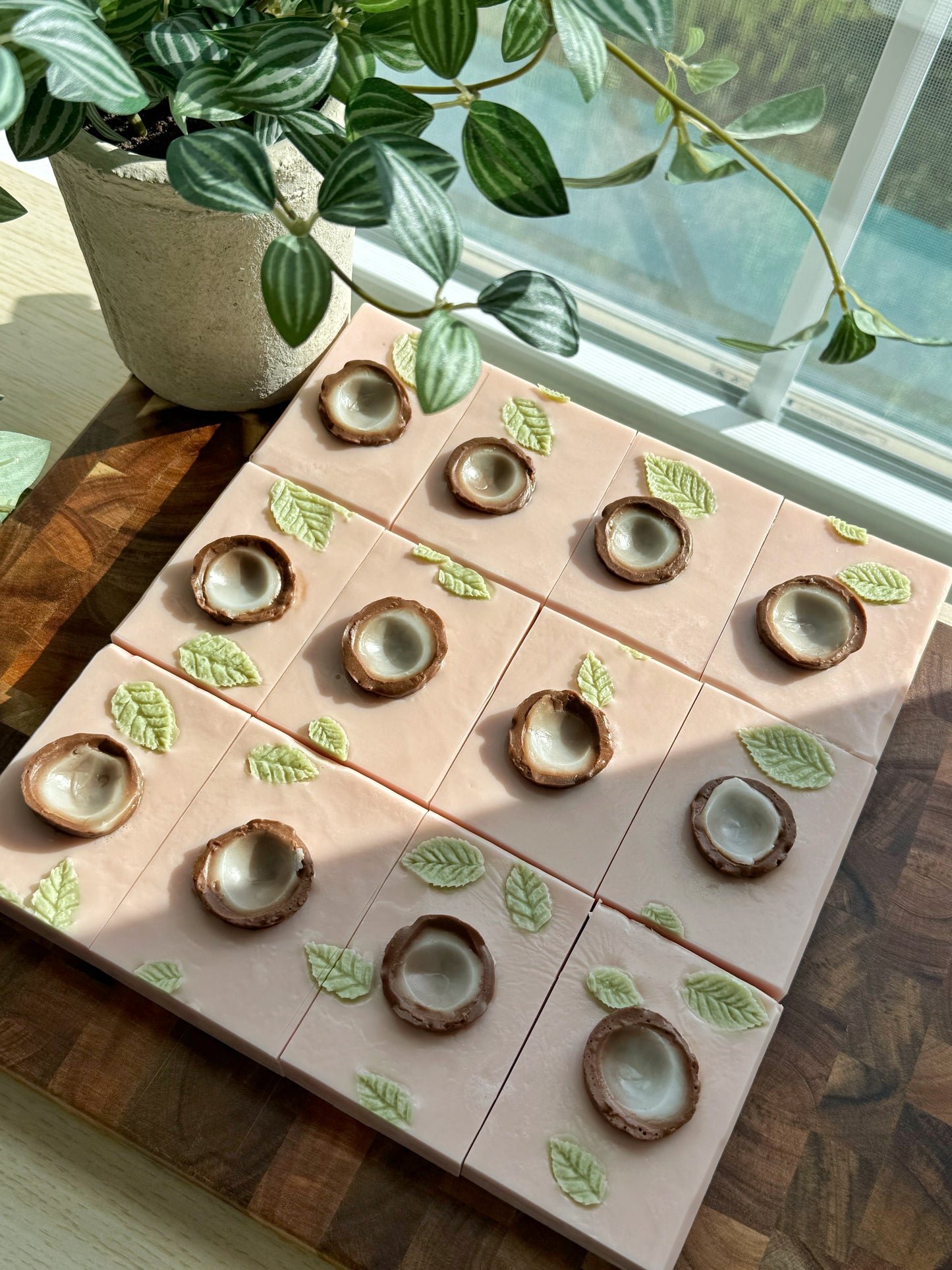 Coconut Grove | Goat Milk Soap