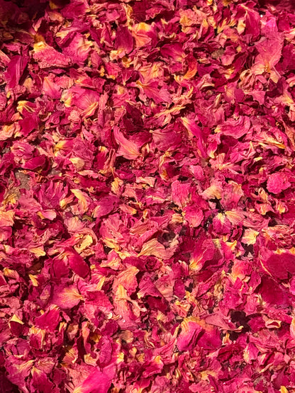 Rose + Tallow Lotion | 100% Grass Fed/Finished, Regeneratively Farmed, Suet Tallow