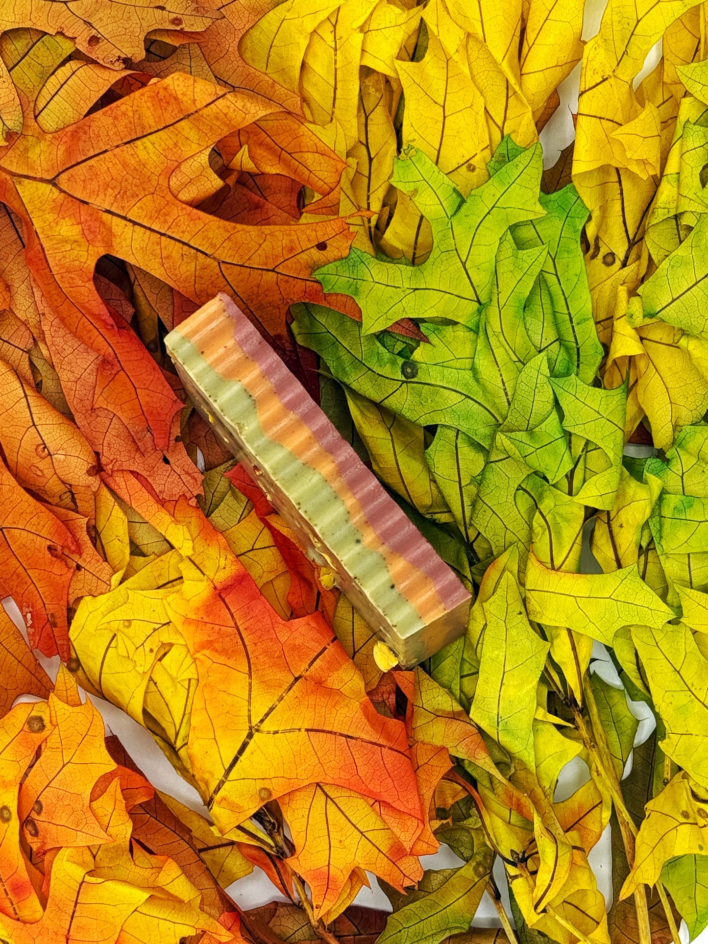 The Fall Collection