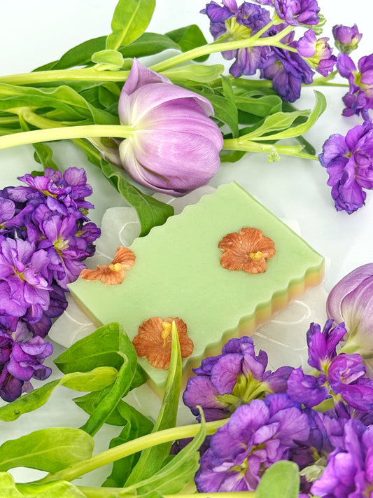 Hibiscus | Goat Milk Soap