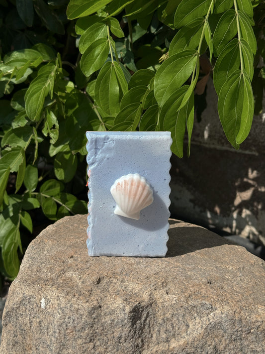 Seashells by the Seashore | Goat Milk Soap