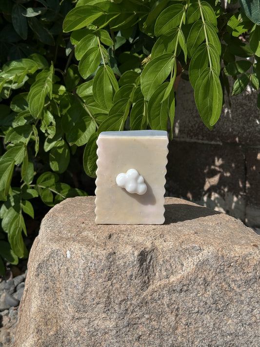 Summer Dreams | Goat Milk Soap