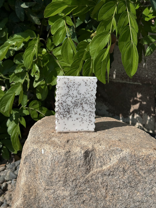 Dragonfruit | Goat Milk Soap