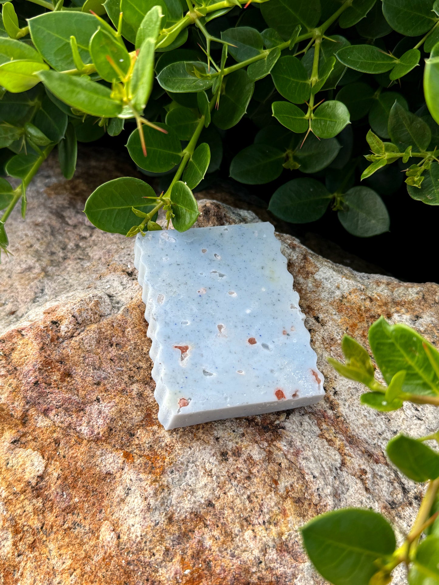 Coastal Calm | Goat Milk Soap