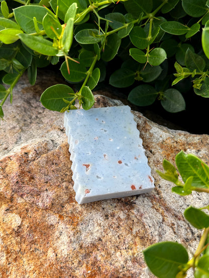 Coastal Calm | Goat Milk Soap