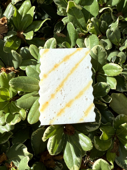 Orange you Glad? | Goat Milk Soap
