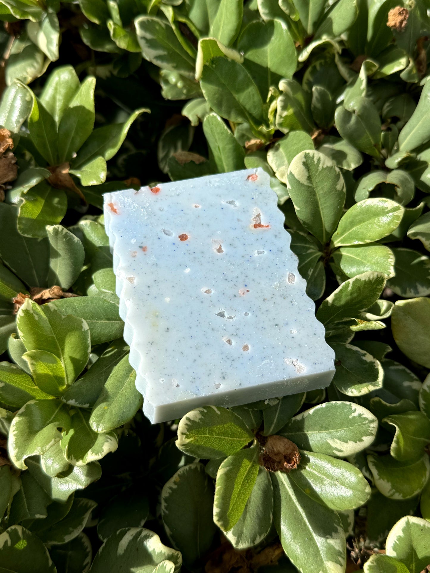 Coastal Calm | Goat Milk Soap