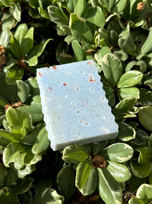 Coastal Calm | Goat Milk Soap