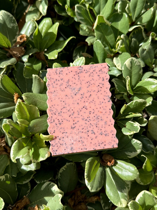 Watermelon Mint | Goat Milk Soap